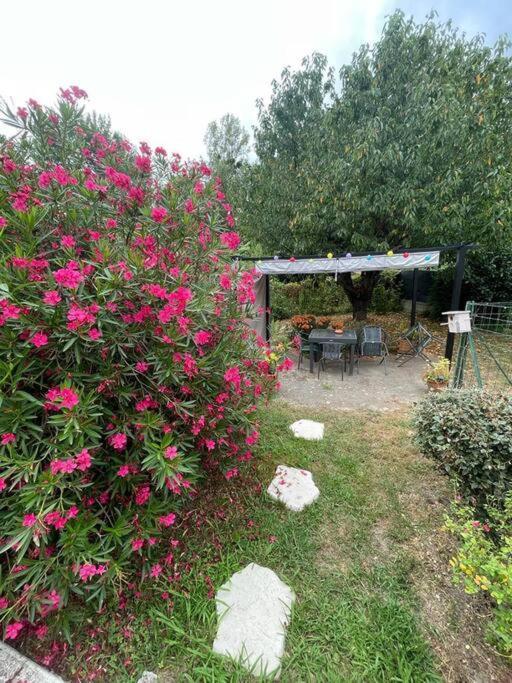 T2 Au Vernet D'ariege Avec Jardin Privatif Apartment Le Vernet (Ariege)